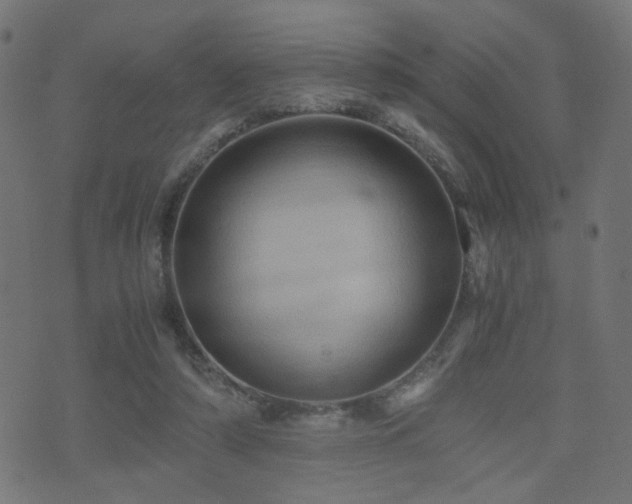 X0000071380306200606261420