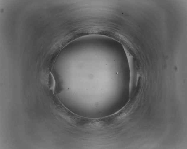 X0000071380307200606261420