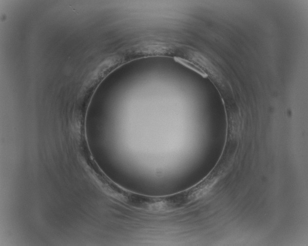 X0000071380309200606261420