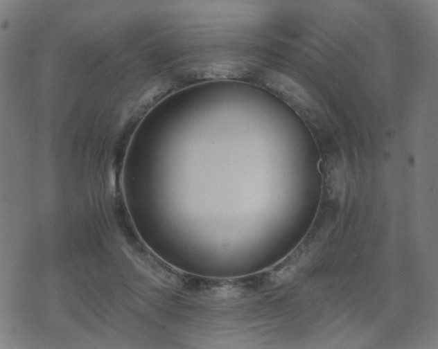 X0000071380310200606261420