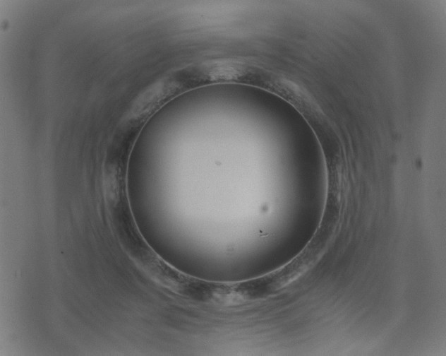 X0000071380311200606261420