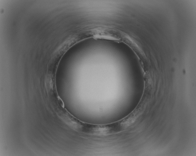 X0000071380313200606261420