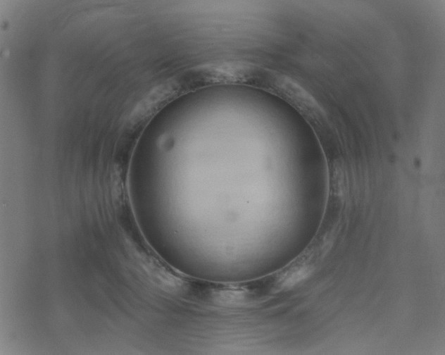 X0000071380318200606261420