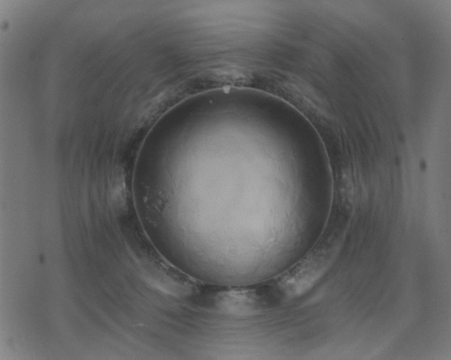 X0000071380320200606261420