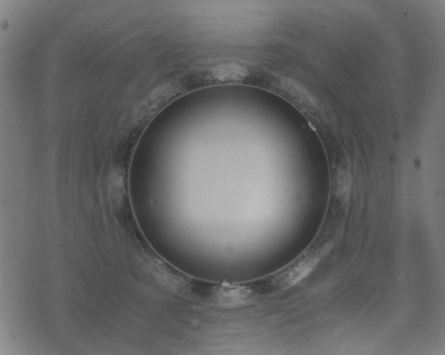 X0000071380321200606261420