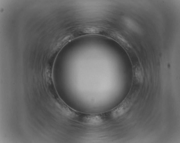 X0000071380322200606261420