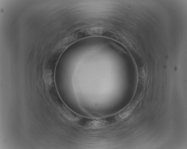 X0000071380323200606261420