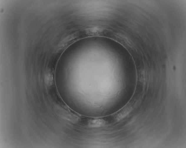 X0000071380324200606261420