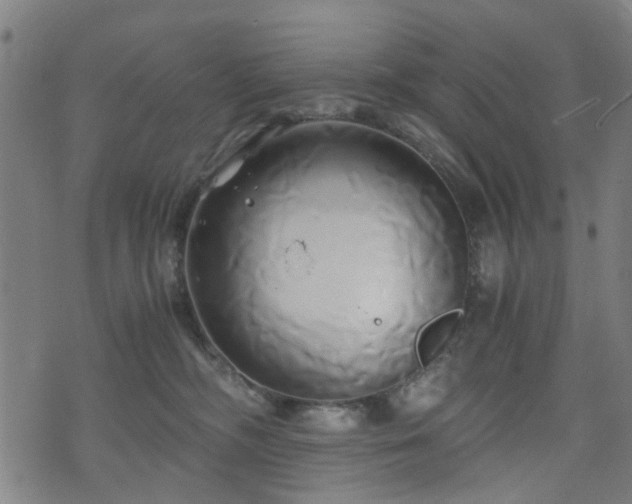 X0000071380326200606261420