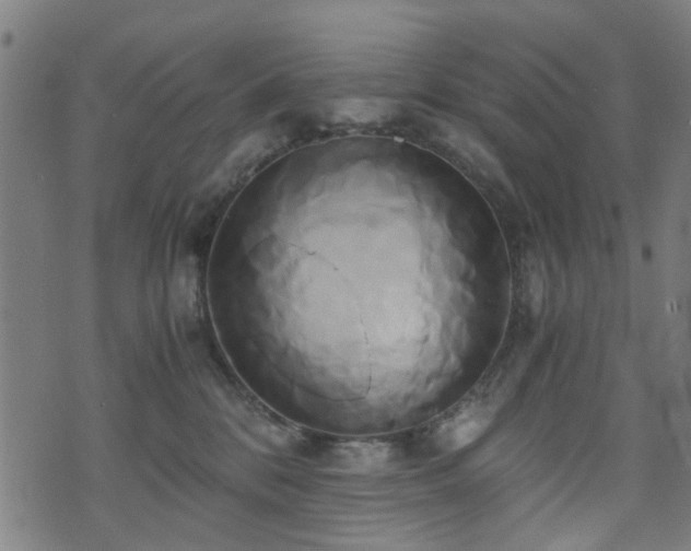 X0000071380328200606261420