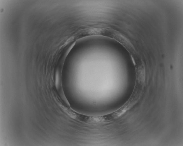 X0000071380329200606261420