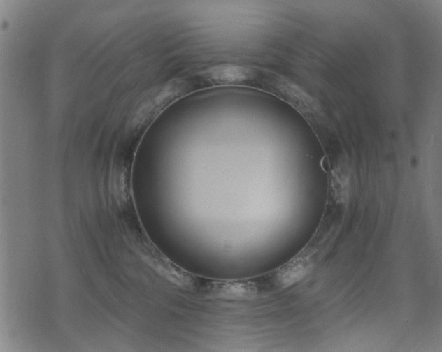 X0000071380330200606261420