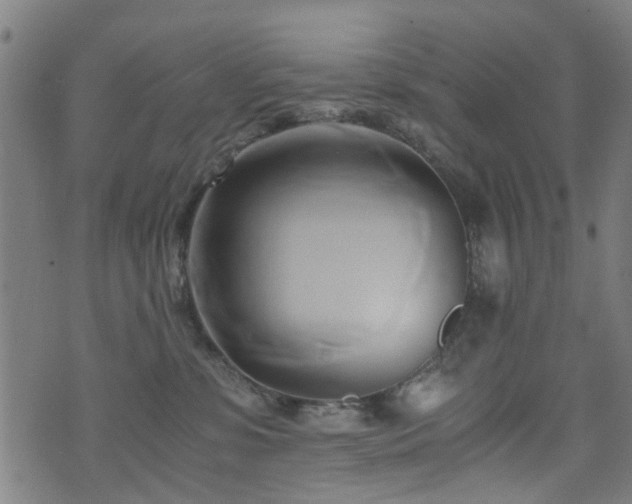 X0000071380331200606261420