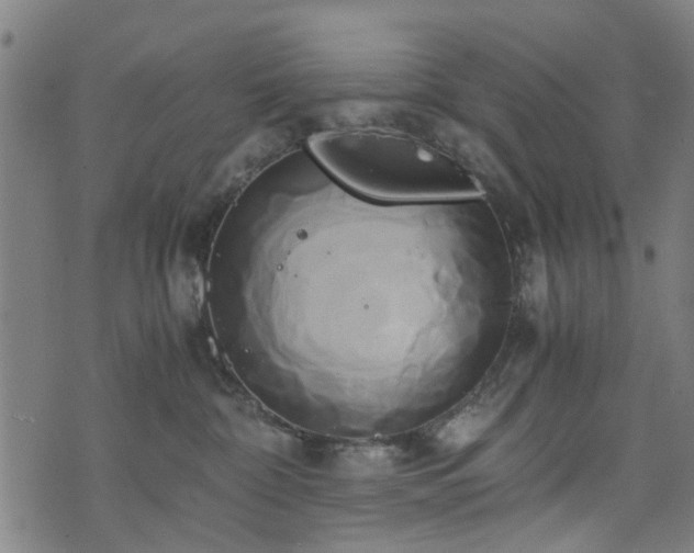 X0000071380332200606261419