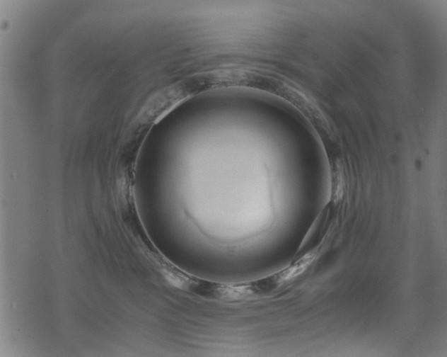 X0000071380333200606261419