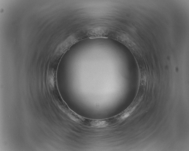 X0000071380334200606261419