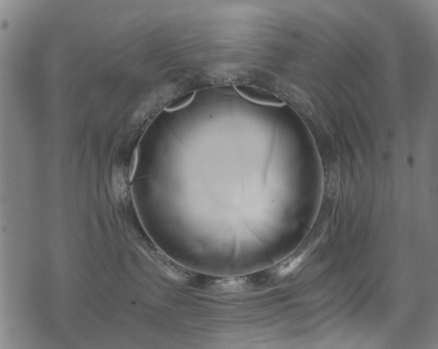 X0000071380335200606261419