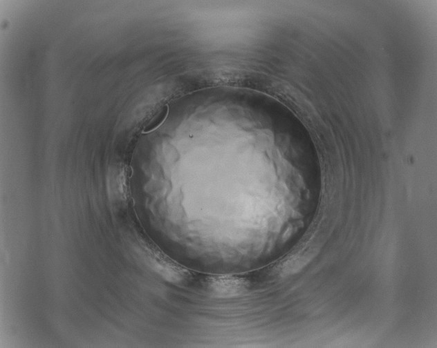 X0000071380336200606261419