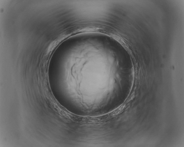 X0000071380337200606261419