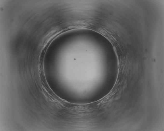 X0000071380338200606261419