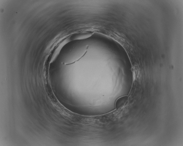 X0000071380339200606261419