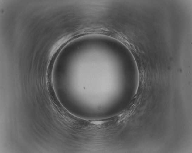 X0000071380340200606261419