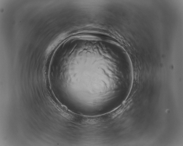 X0000071380341200606261419