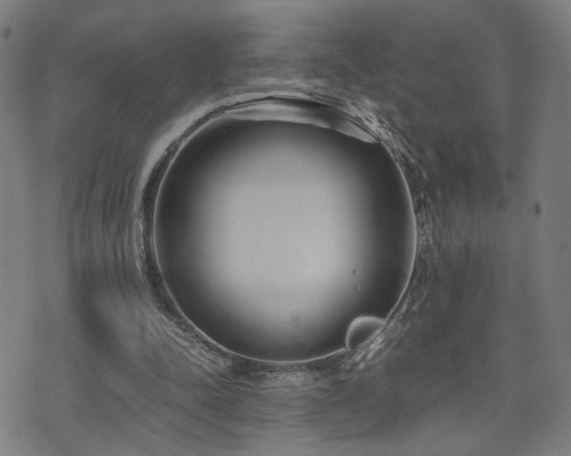 X0000071380342200606261419