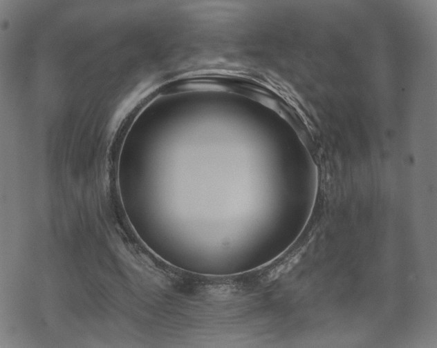 X0000071380344200606261419