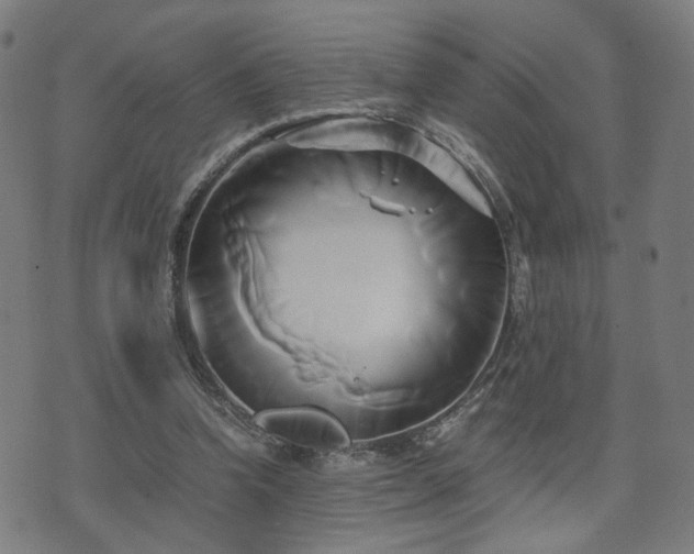 X0000071380346200606261419