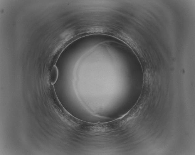 X0000071380347200606261419