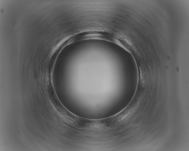 X0000071380348200606261419