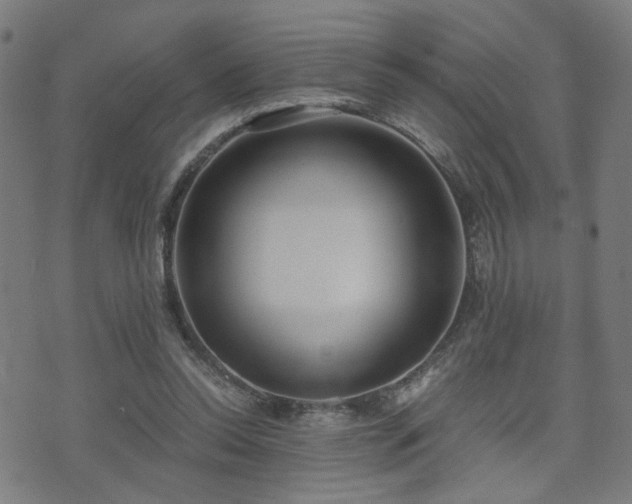 X0000071380350200606261419