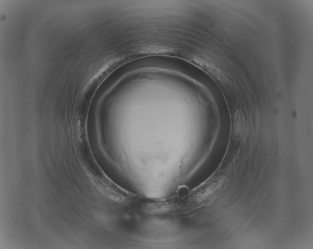 X0000071380351200606261419