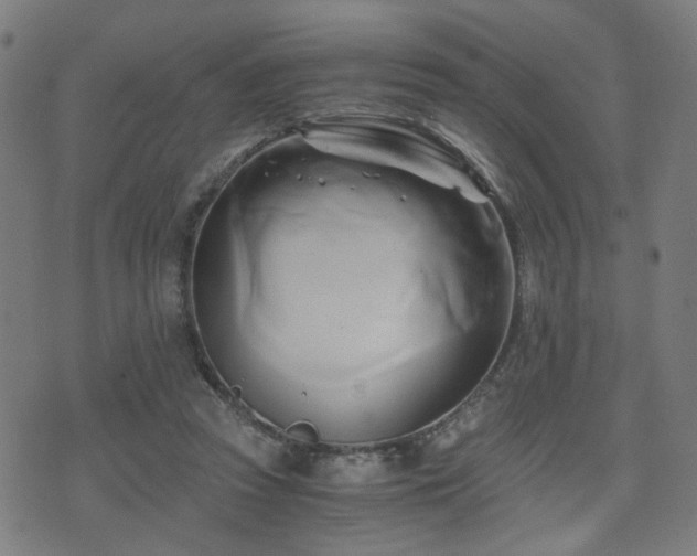 X0000071380353200606261419