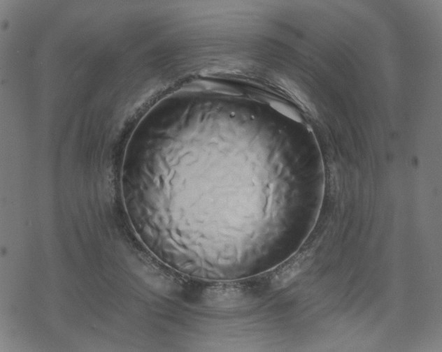 X0000071380354200606261419