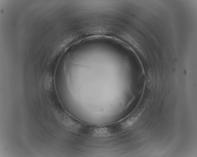 X0000071380355200606261419