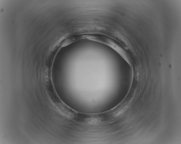 X0000071380356200606261419