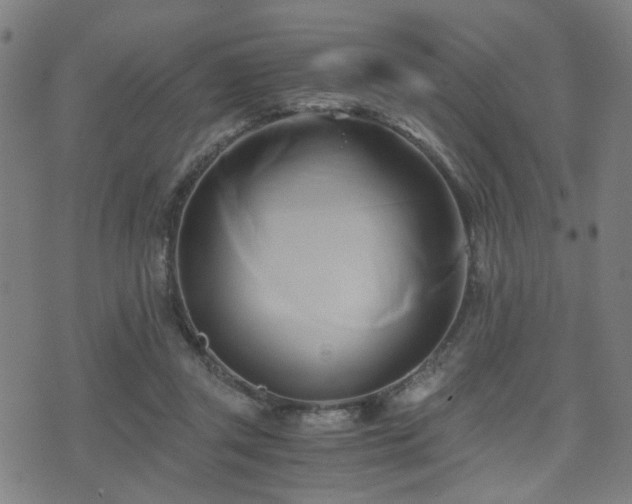 X0000071380357200606261419