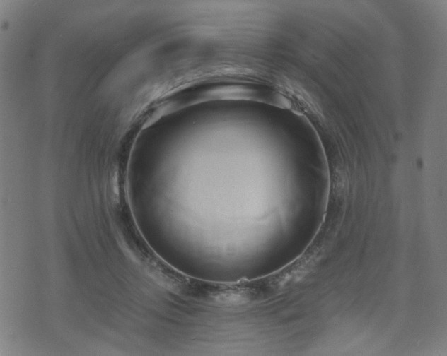 X0000071380358200606261419