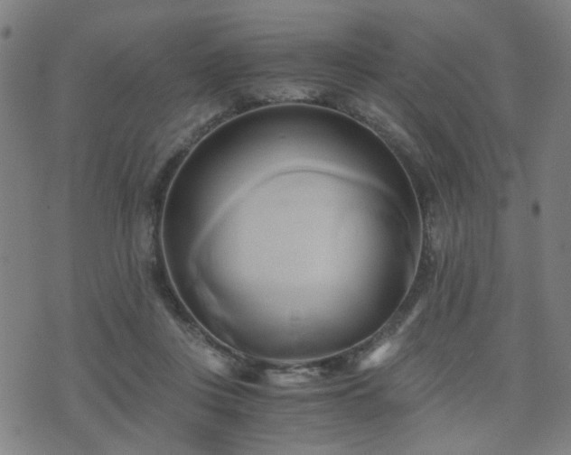 X0000071380359200606261419