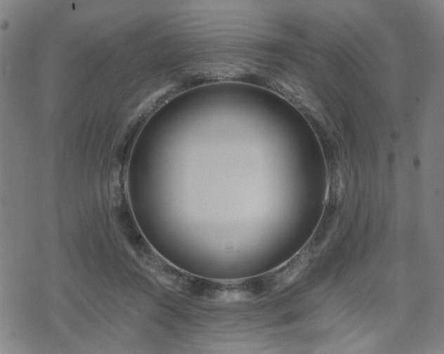 X0000071380360200606261419