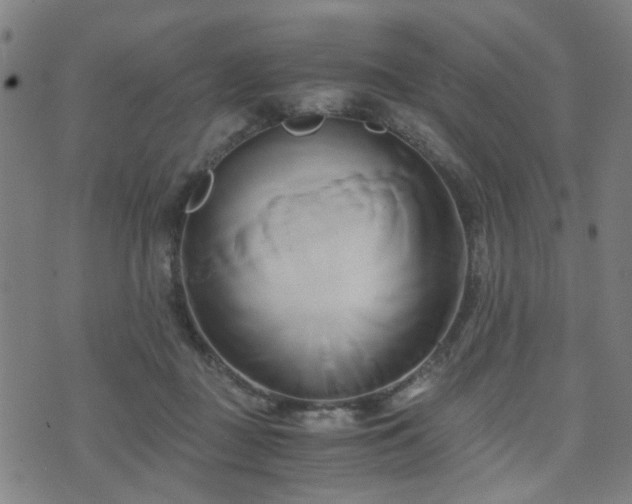 X0000071380363200606261419