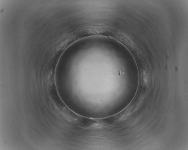 X0000071380364200606261419