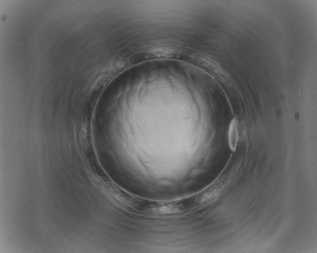 X0000071380365200606261419