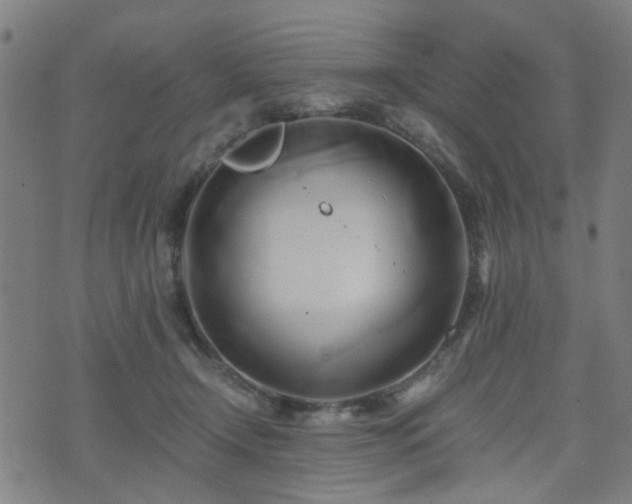 X0000071380366200606261419