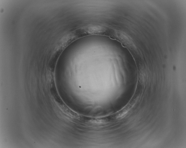 X0000071380367200606261419