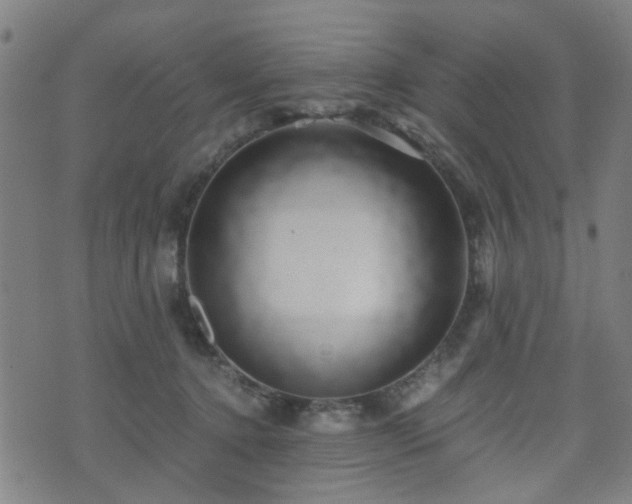 X0000071380368200606261419