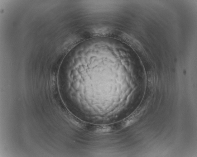 X0000071380369200606261419