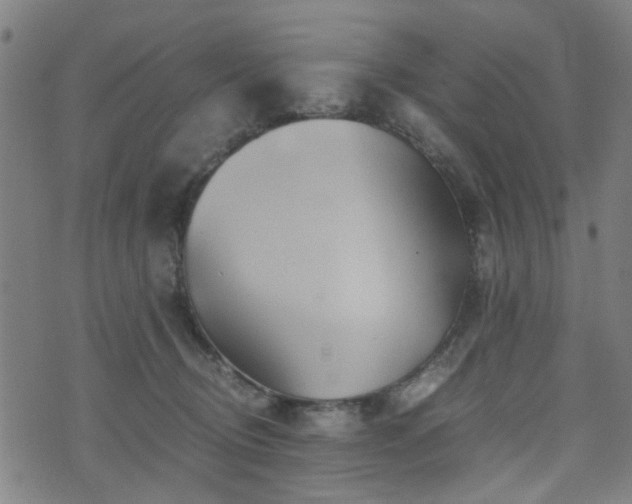 X0000071380370200606261419